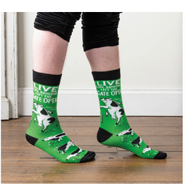 Primitives by Kathy Socks-Live Like Someone