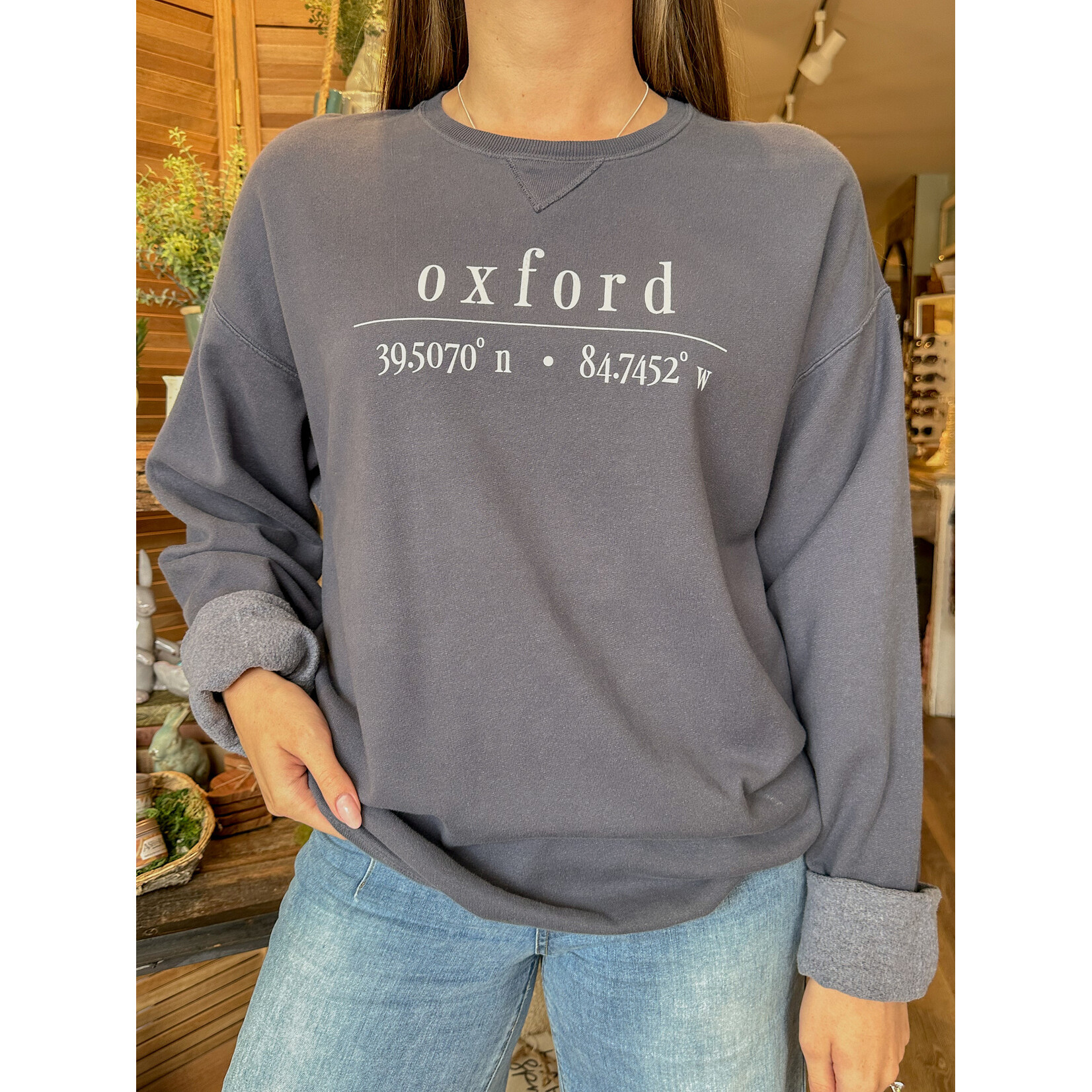 Oxford Coordinates Crewneck Sweatshirt,