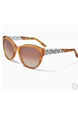 Brighton Interlok Braid Sunglasses, amber