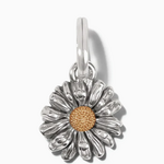 Brighton Brighton Daisy Dee Charm