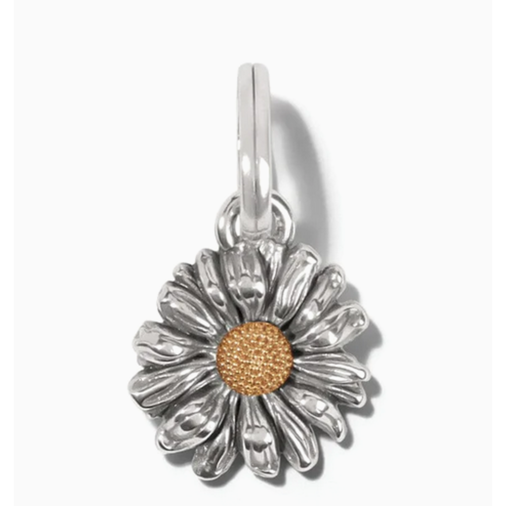 Brighton  Daisy Dee Charm