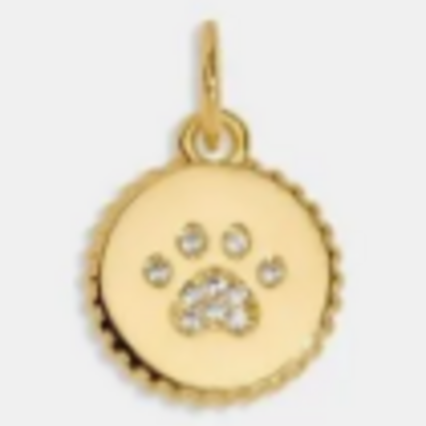 A Littles & Co. AL Charm Bar, Pawfect Small Charm