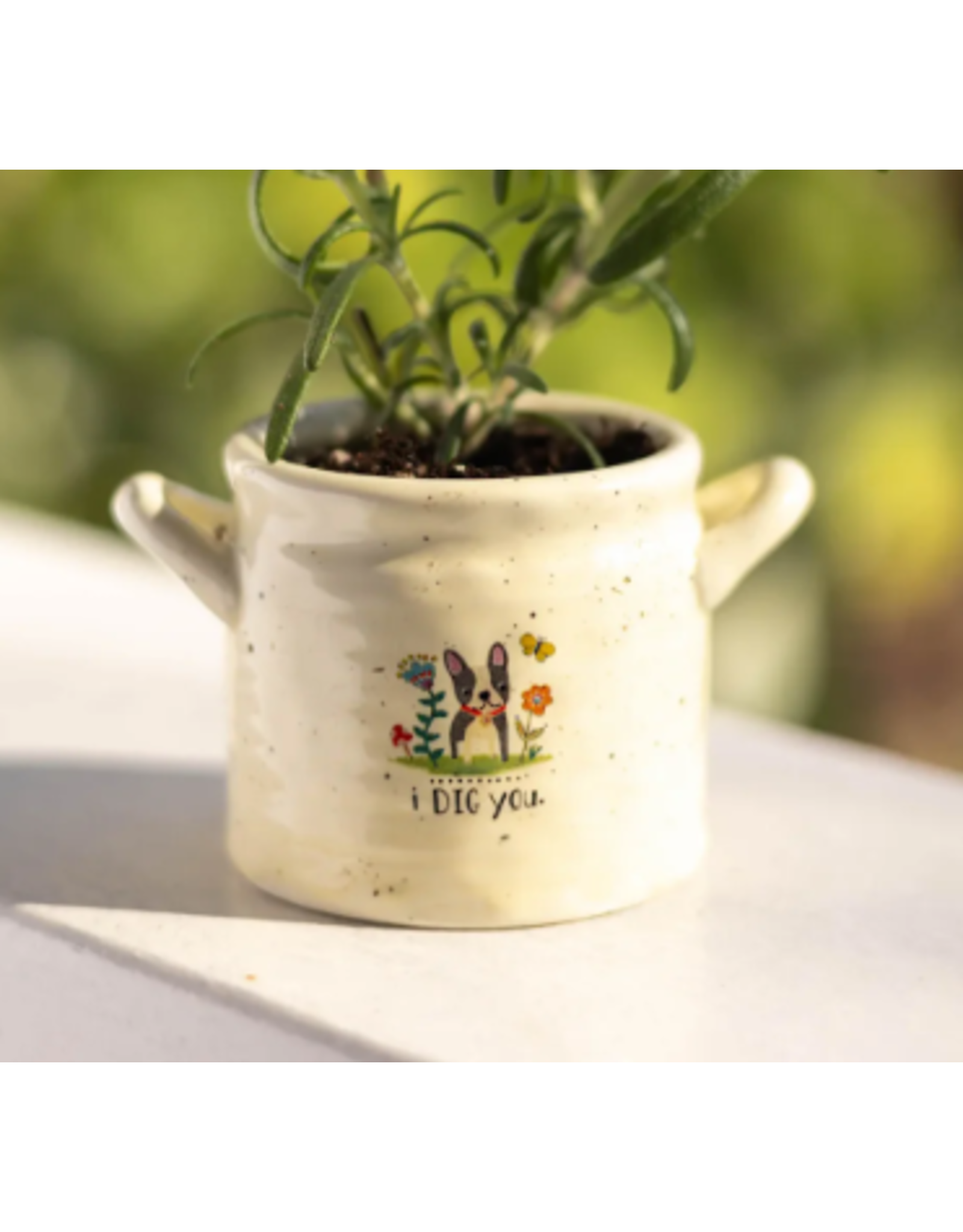 Natural LIfe Small Crock Planter, I Dig You