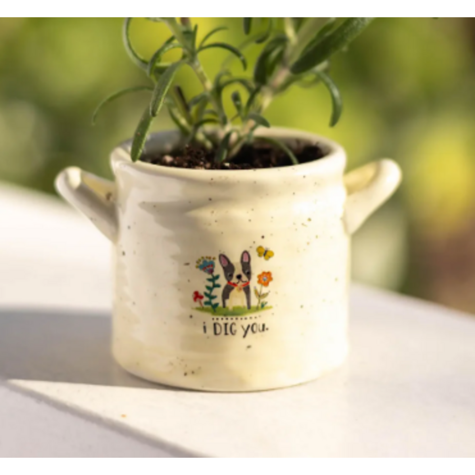 Natural Life Small Crock Planter, I Dig You