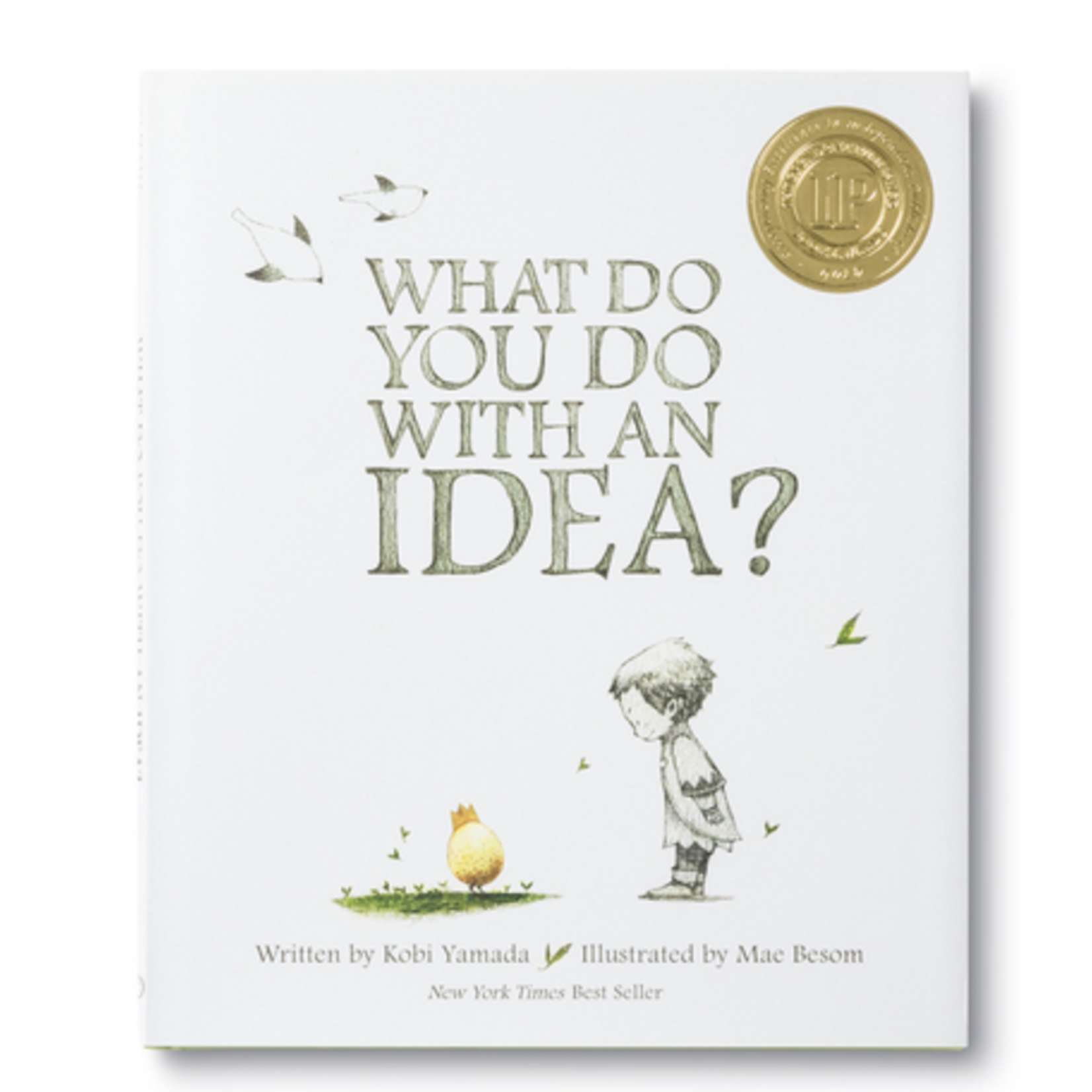 What Do You Do With An Idea book