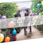 Hachette Book Group Gray Malin Double Sided Puzzle, Elephant Party at the Pool, 500 pieces