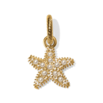 Brighton Brighton Beach Star Charm