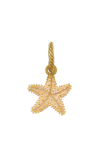 Brighton Beach Star Charm