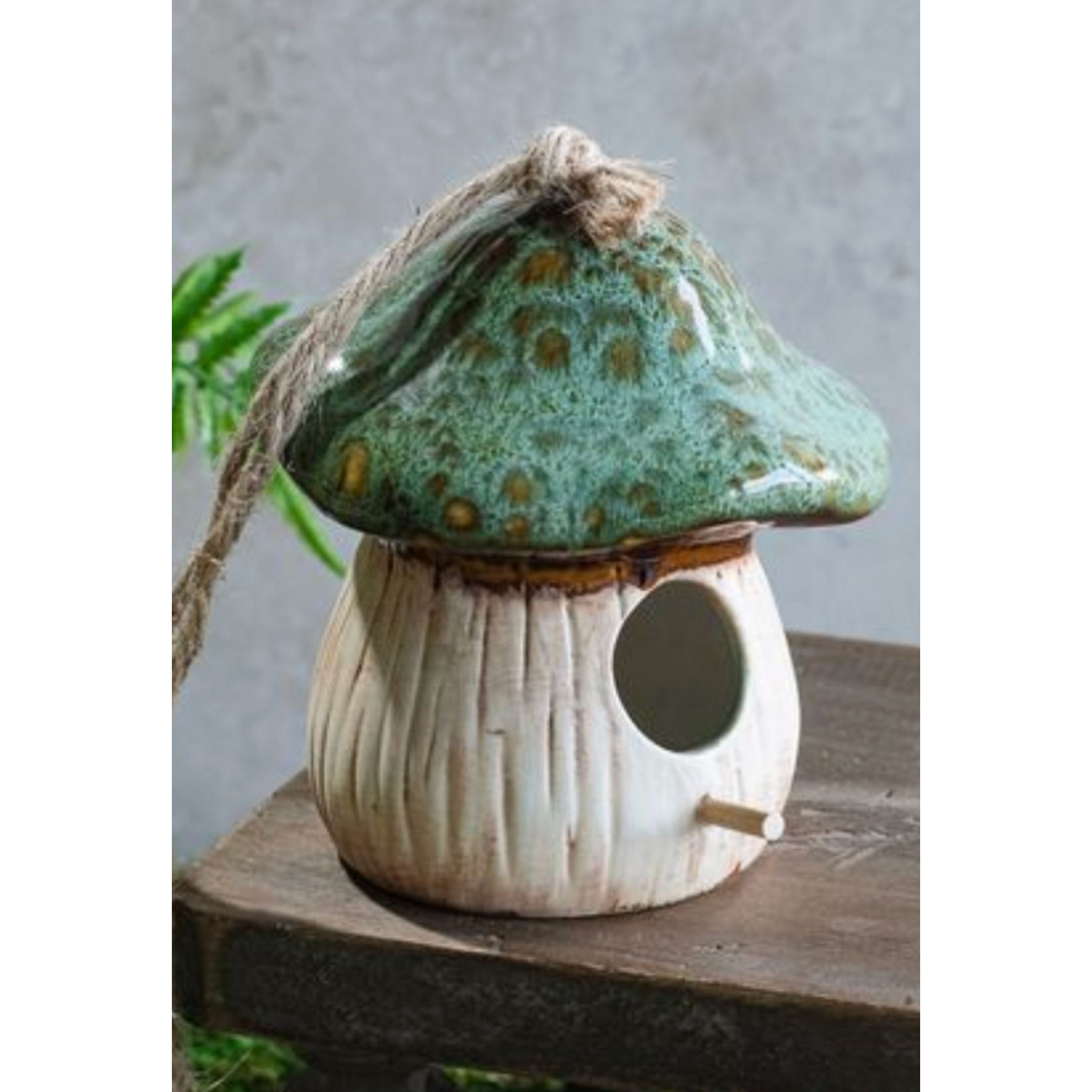 Pd Home & Garden LLC Ceramic Mushroom Birdhouse, green