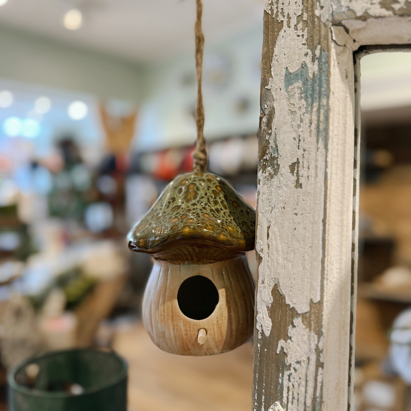 Pd Home & Garden LLC Ceramic Mushroom Birdhouse, green