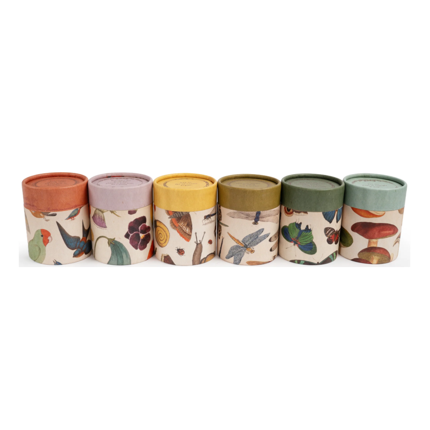 Sugarboo & Co Flora & Fauna Candle Collection,