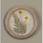 5.25" Round Frame, Pressed White Flower
