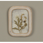 5.25" Rect Frame, Pressed White Flower