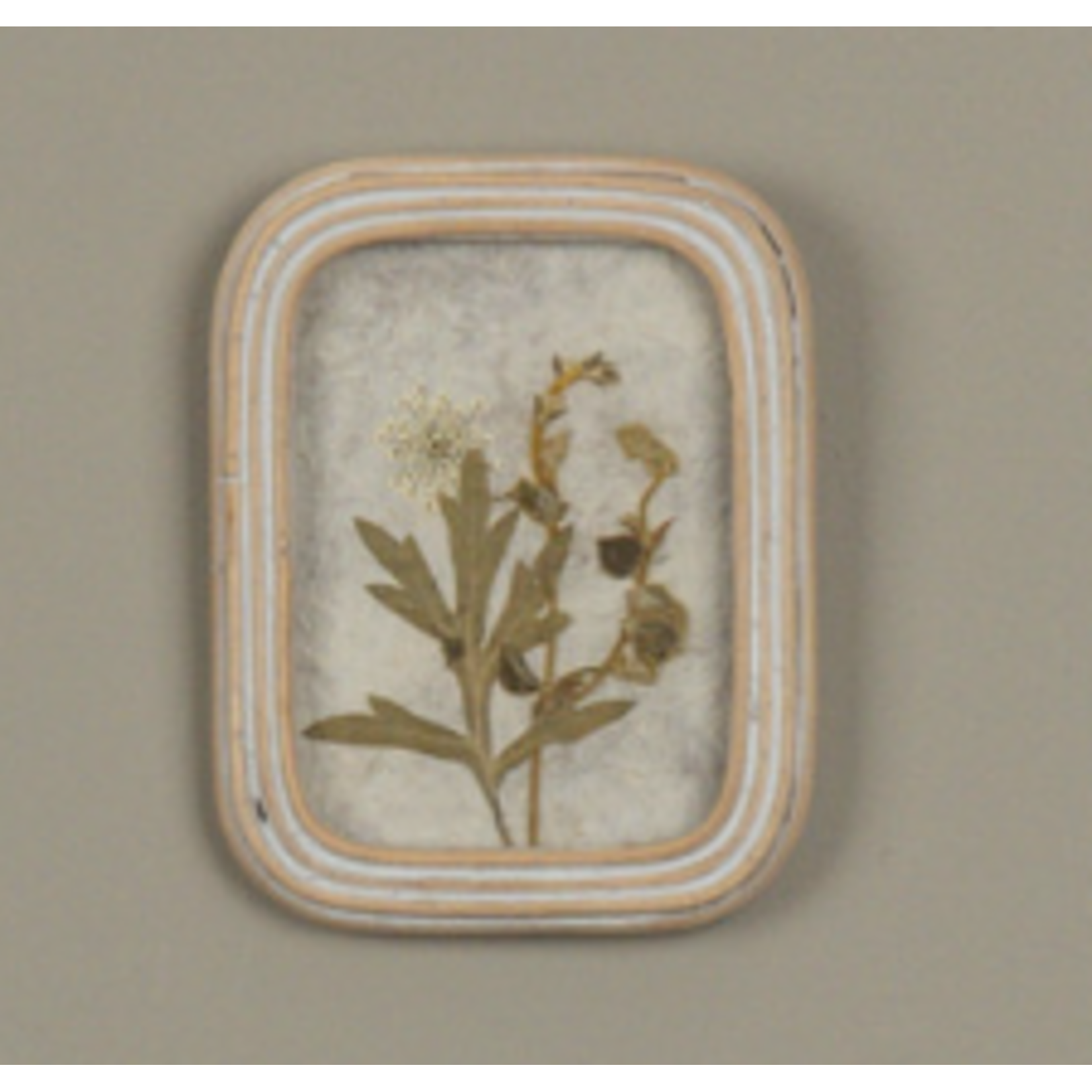 5.25" Rect Frame, Pressed White Flower