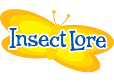 INSECT LORE