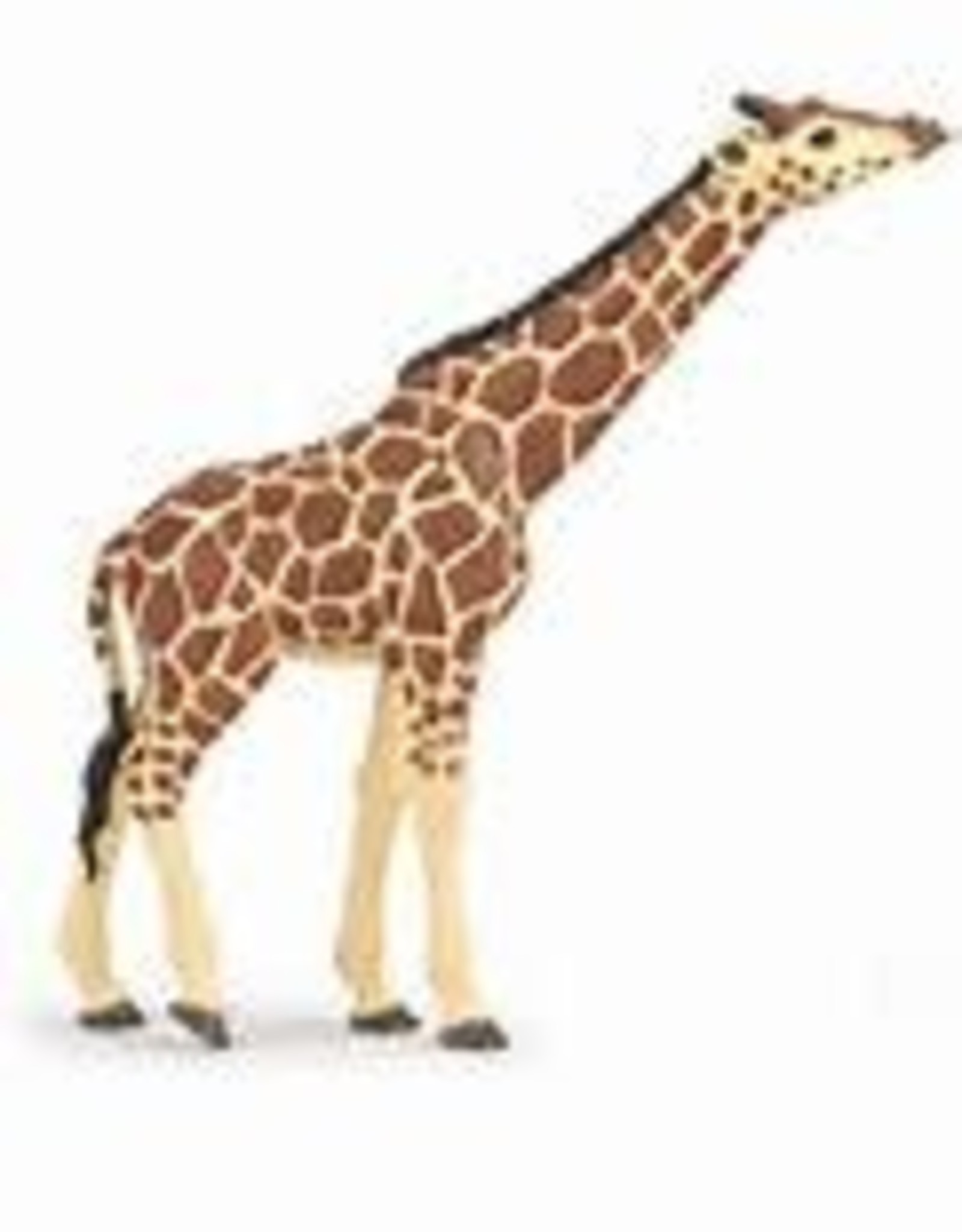 HOTALING IMPORTS Papo Giraffe Head Raised