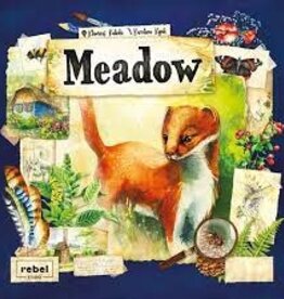 ACD TOYS GAMES MEADOW