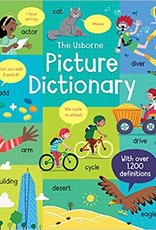 EDC USBORNE KANE MILLER Picture Dictionary!!!!