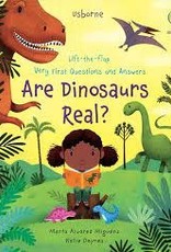 EDC USBORNE KANE MILLER Lift-the-Flap Very First Questions and Answers: Are  Dinosaurs Real