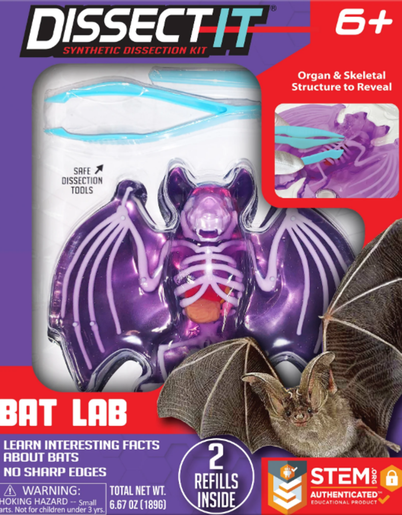 TANGLE DISSECT-IT BAT LAB***