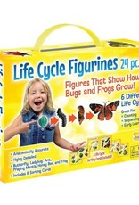 INSECT LORE LIFE CYCLE FIGURINES 24 PC