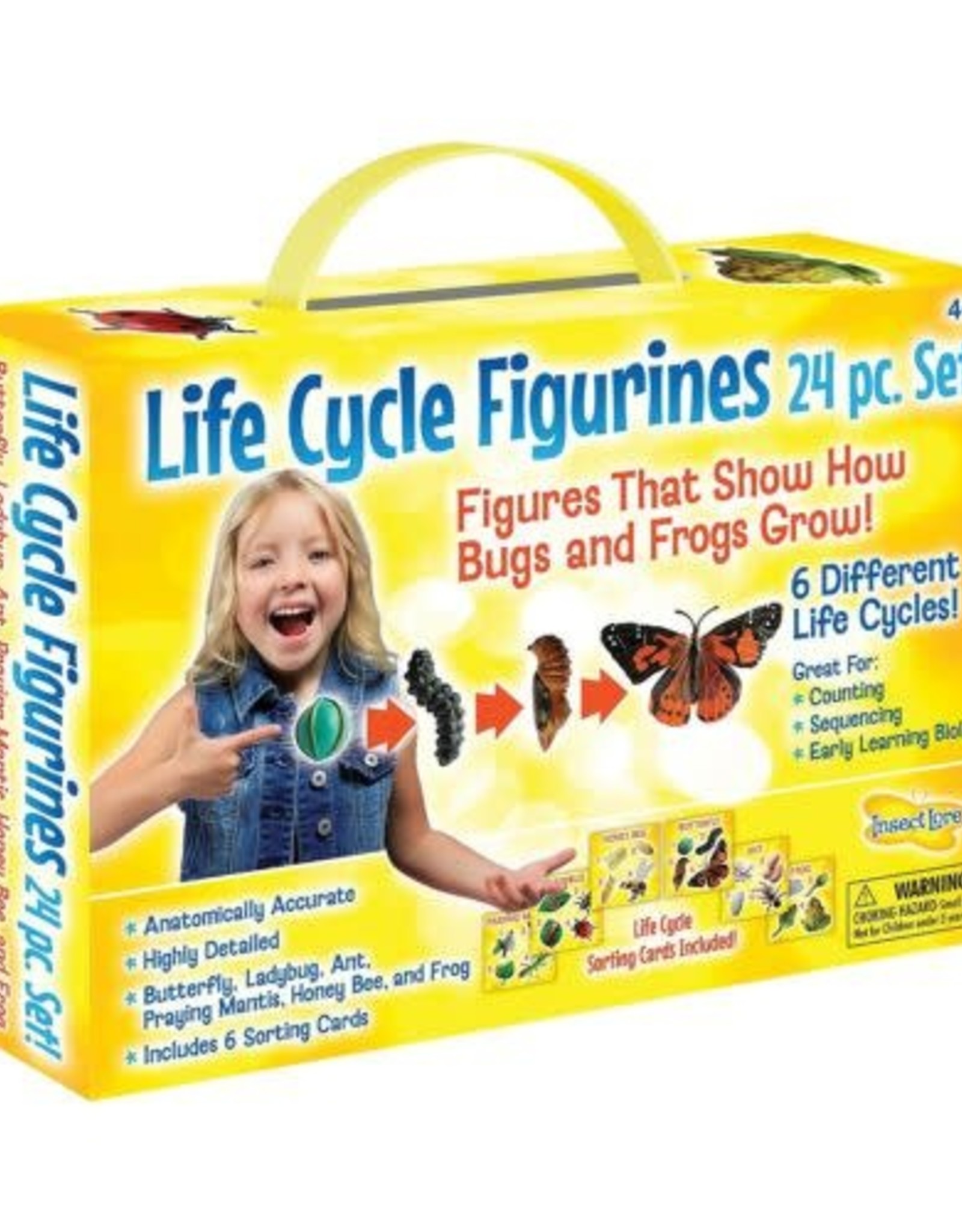 INSECT LORE LIFE CYCLE FIGURINES 24 PC