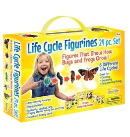 INSECT LORE Life Cycle Figurines 24 Pc