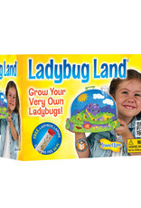 INSECT LORE Ladybug Land