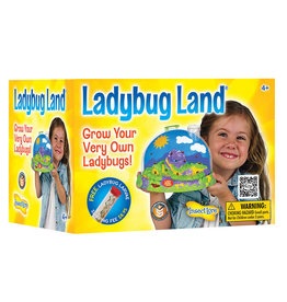 INSECT LORE LADYBUG LAND