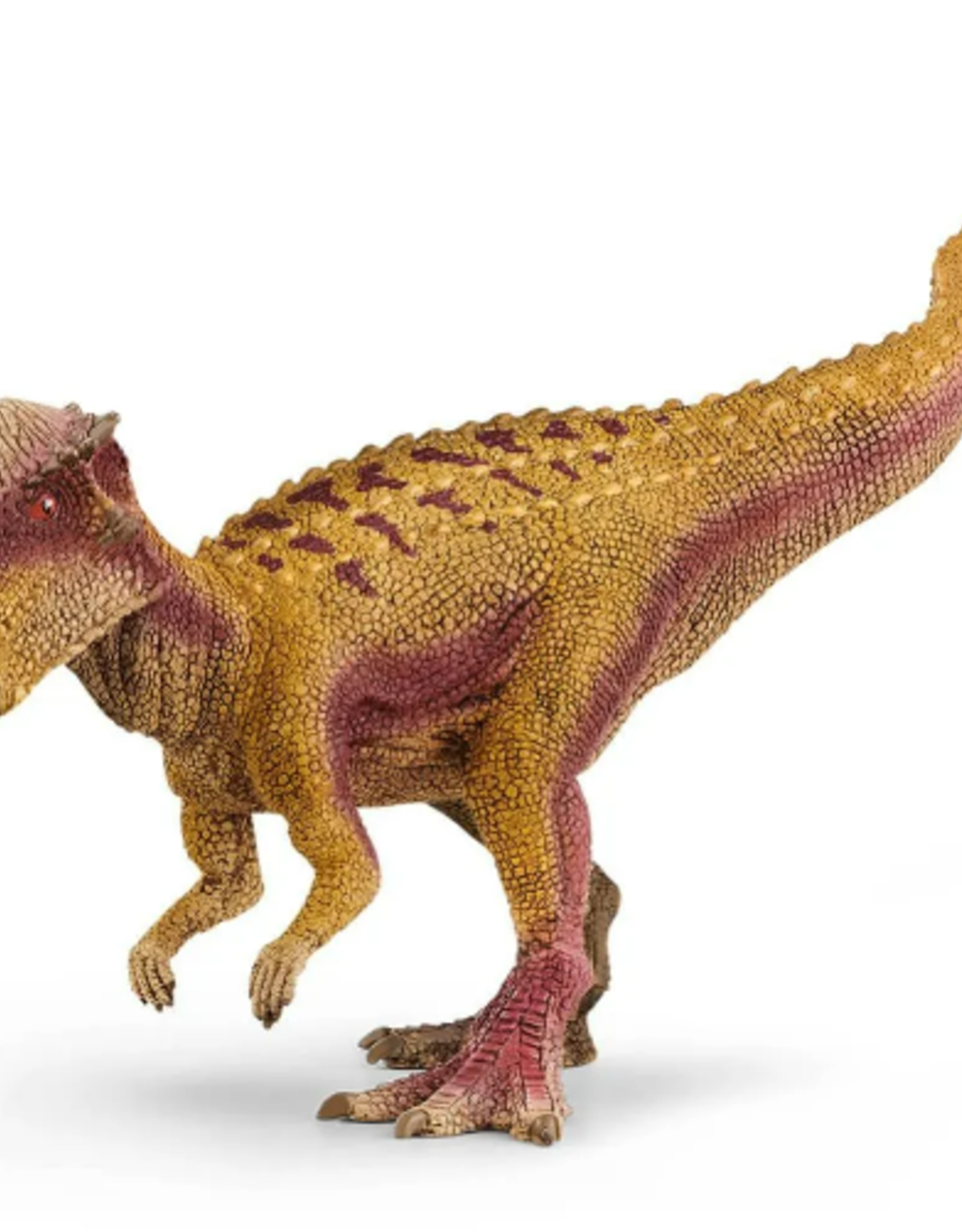 SCHLEICH PACHYCEPHALOSAURUS