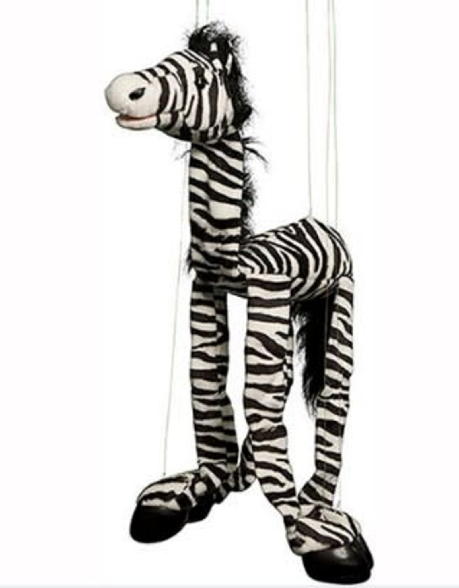 ZEBRA PUPPET Circle of Knowledge