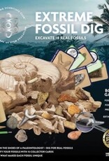 US TOY COMPANY EXTREME FOSSIL DIG