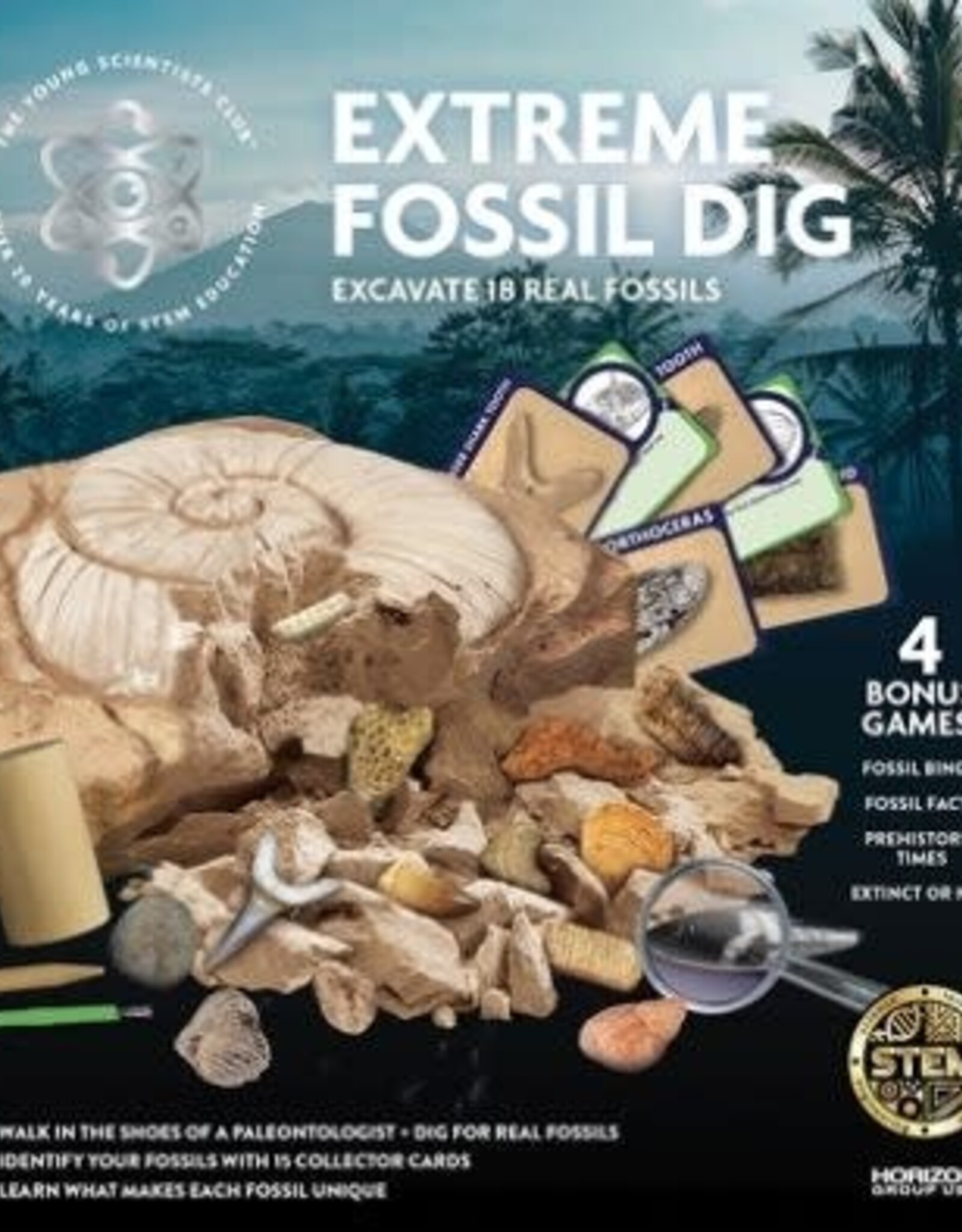 US TOY COMPANY EXTREME FOSSIL DIG