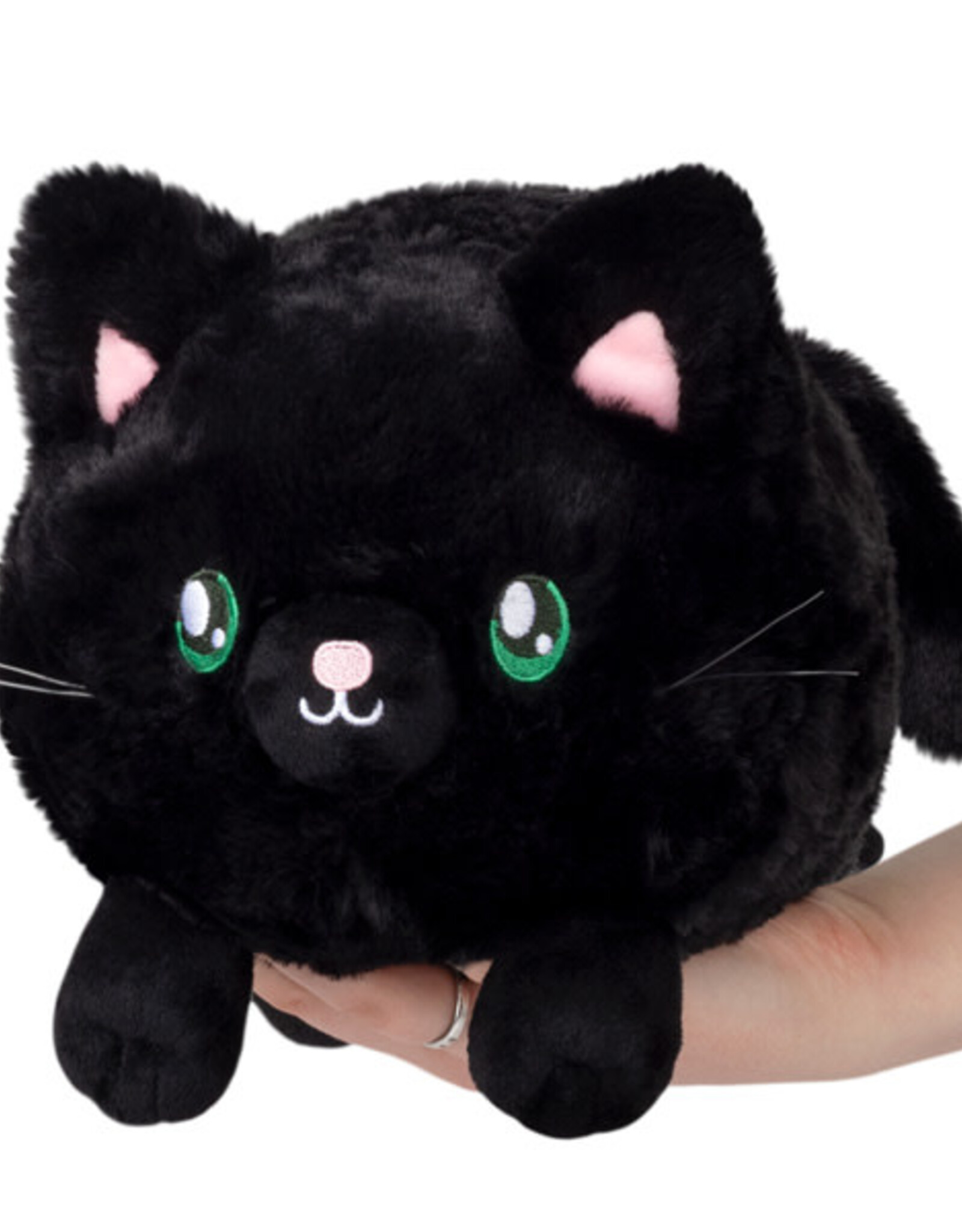 SQUISHABLE BLACK KITTY