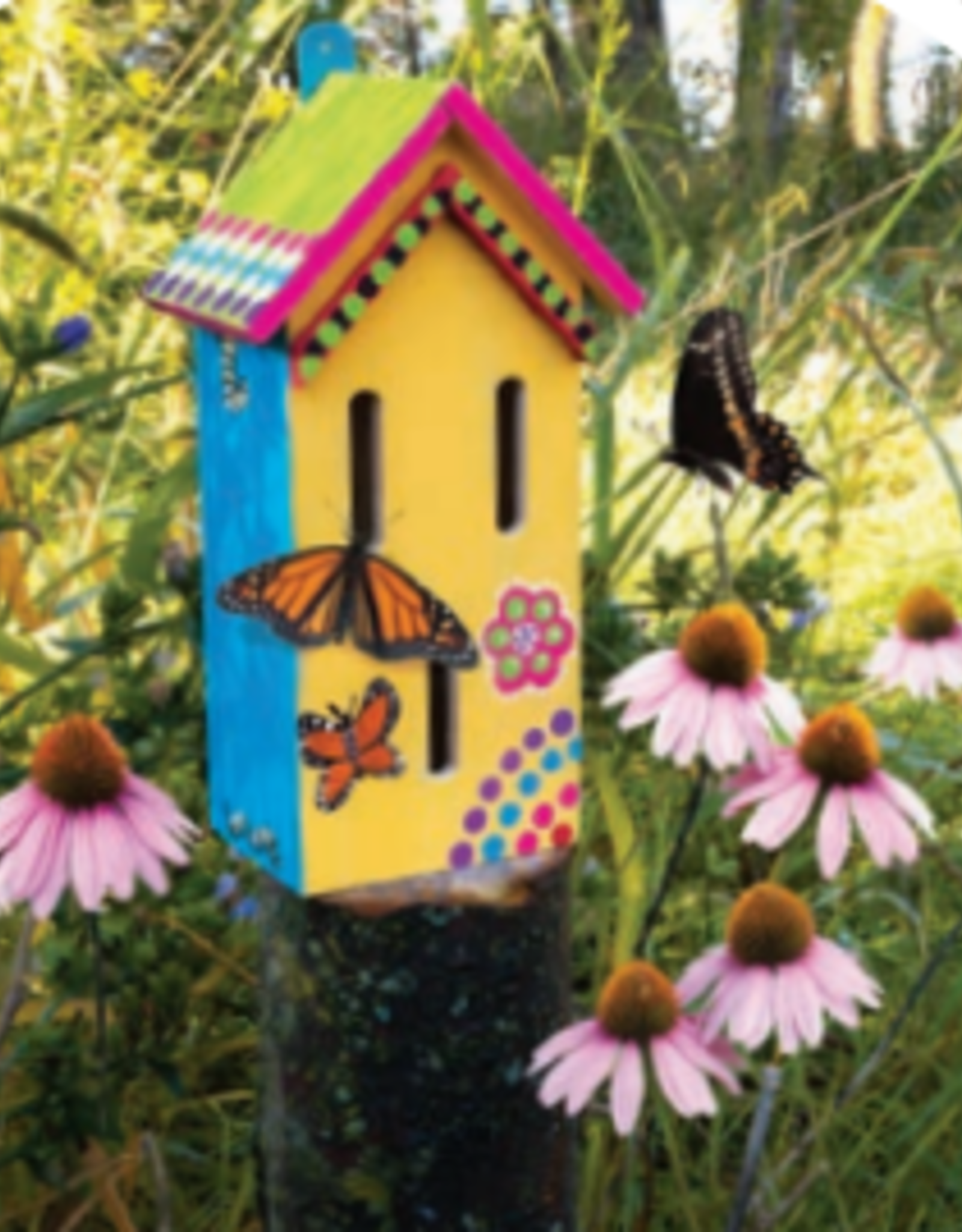 MINDWARE BUTTERFLY HOUSE KIT