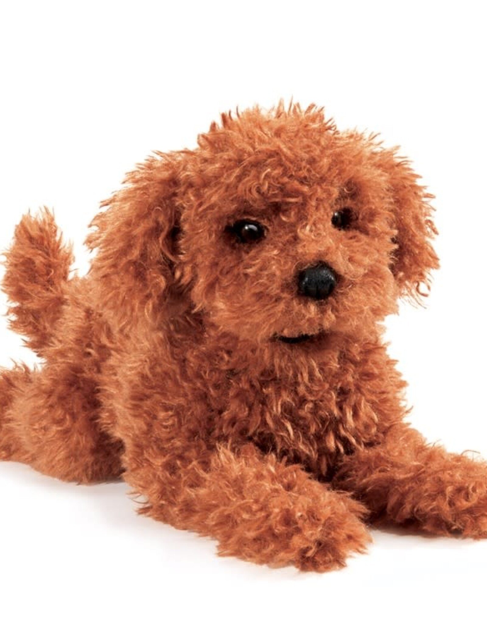 FOLKMANIS TOY POODLE PUPPY