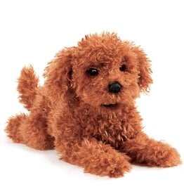 FOLKMANIS TOY POODLE PUPPY