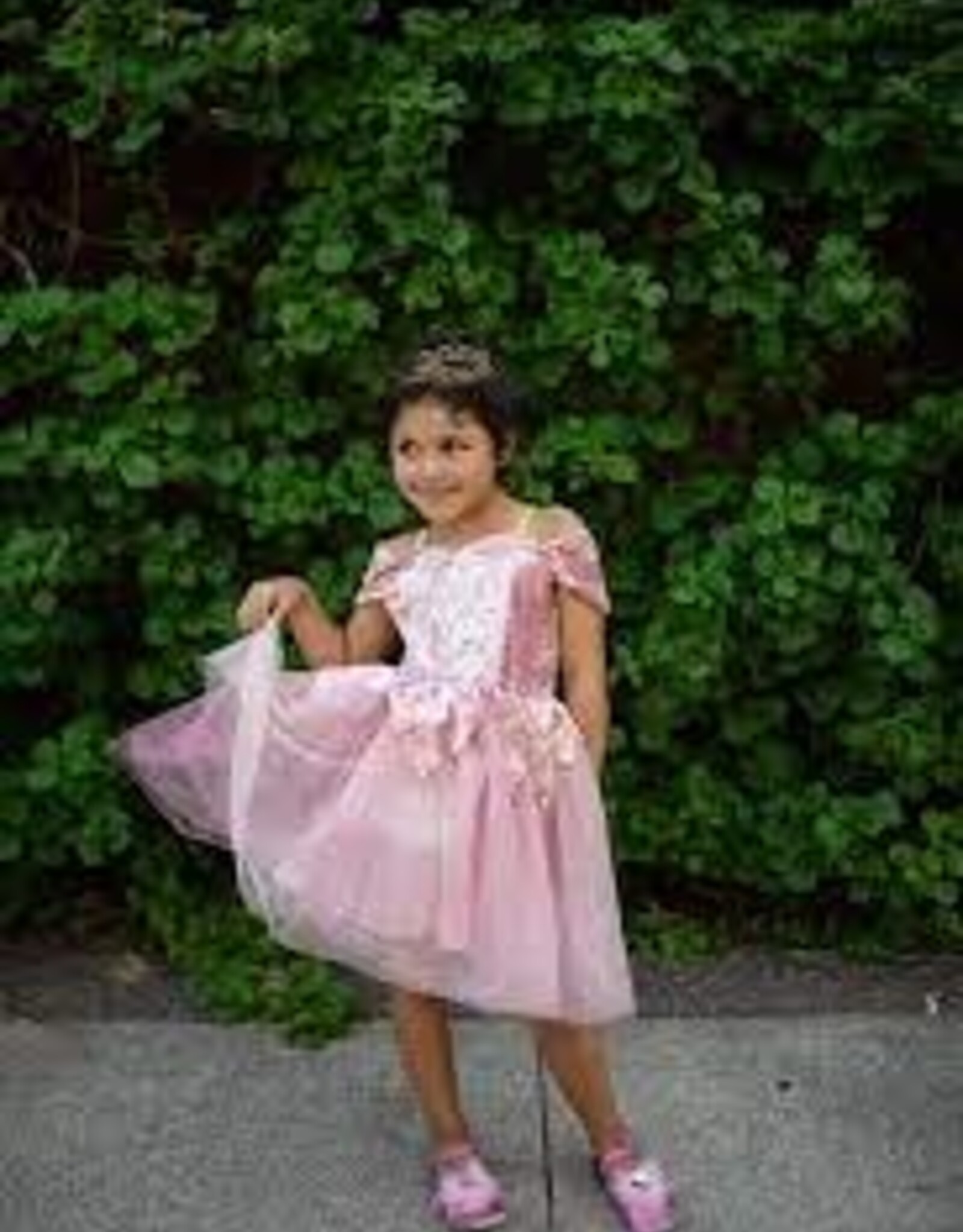 CREATIVE EDUCATION OF CANADA / GREAT PRETENDERS PRIMA BALLERINA DRESS DUSTY ROSE 5-6