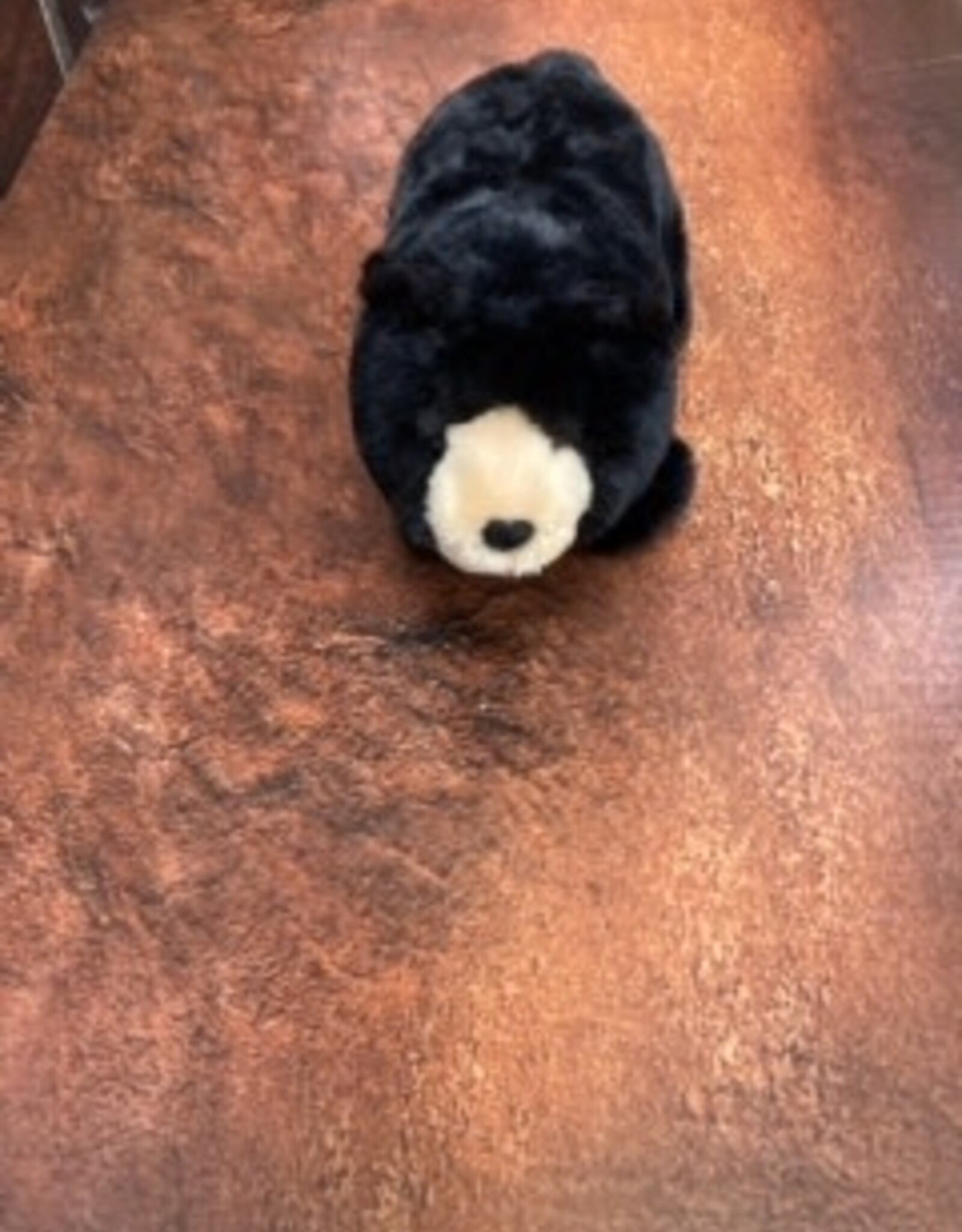 DOUGLAS CUDDLE TOY MORLEY BLACK BEAR