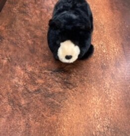 DOUGLAS CUDDLE TOY MORLEY BLACK BEAR