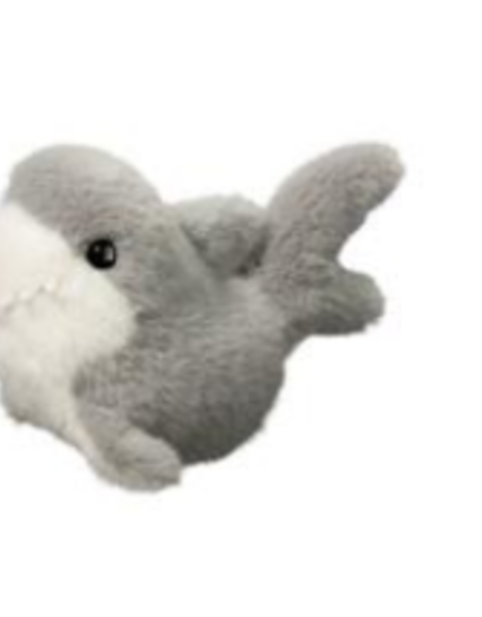 DOUGLAS CUDDLE TOY LIL' BABY SHARK