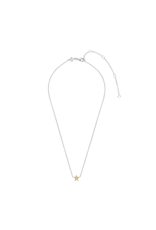 Two Tone, Reversible Gold Plated Zirconia Star Necklace- 3976ZY/42