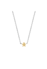 Two Tone, Reversible Gold Plated Zirconia Star Necklace- 3976ZY/42