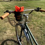 Velo Orange Velo Orange Klunker Bars