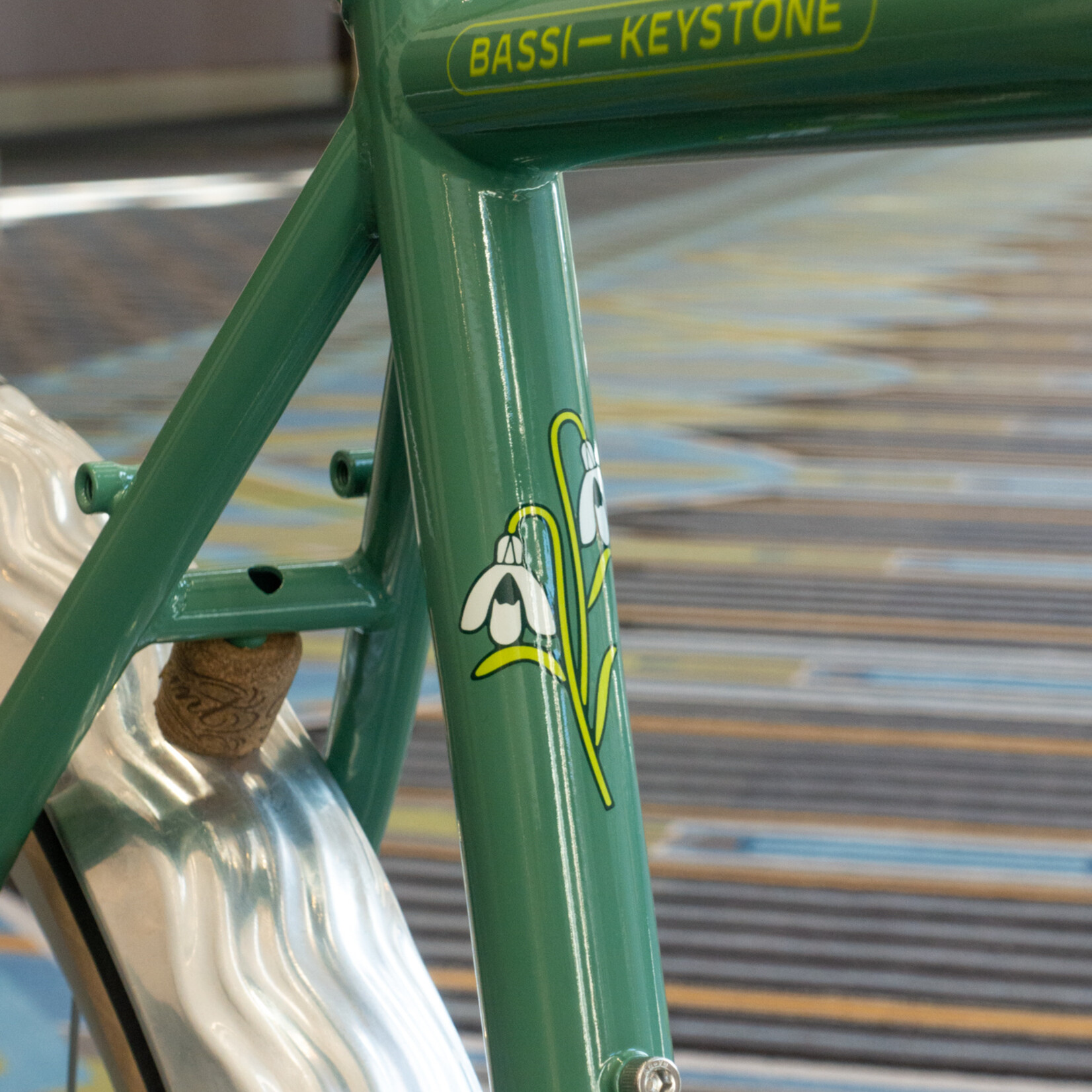 Bassi Belmont EXPO Bike Sage 53.5