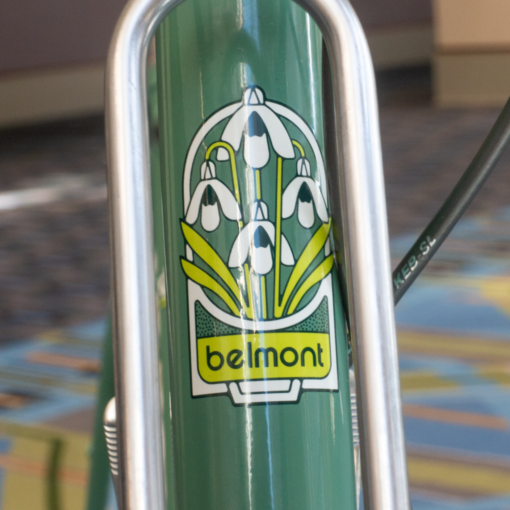 Bassi Belmont EXPO Bike Sage 53.5