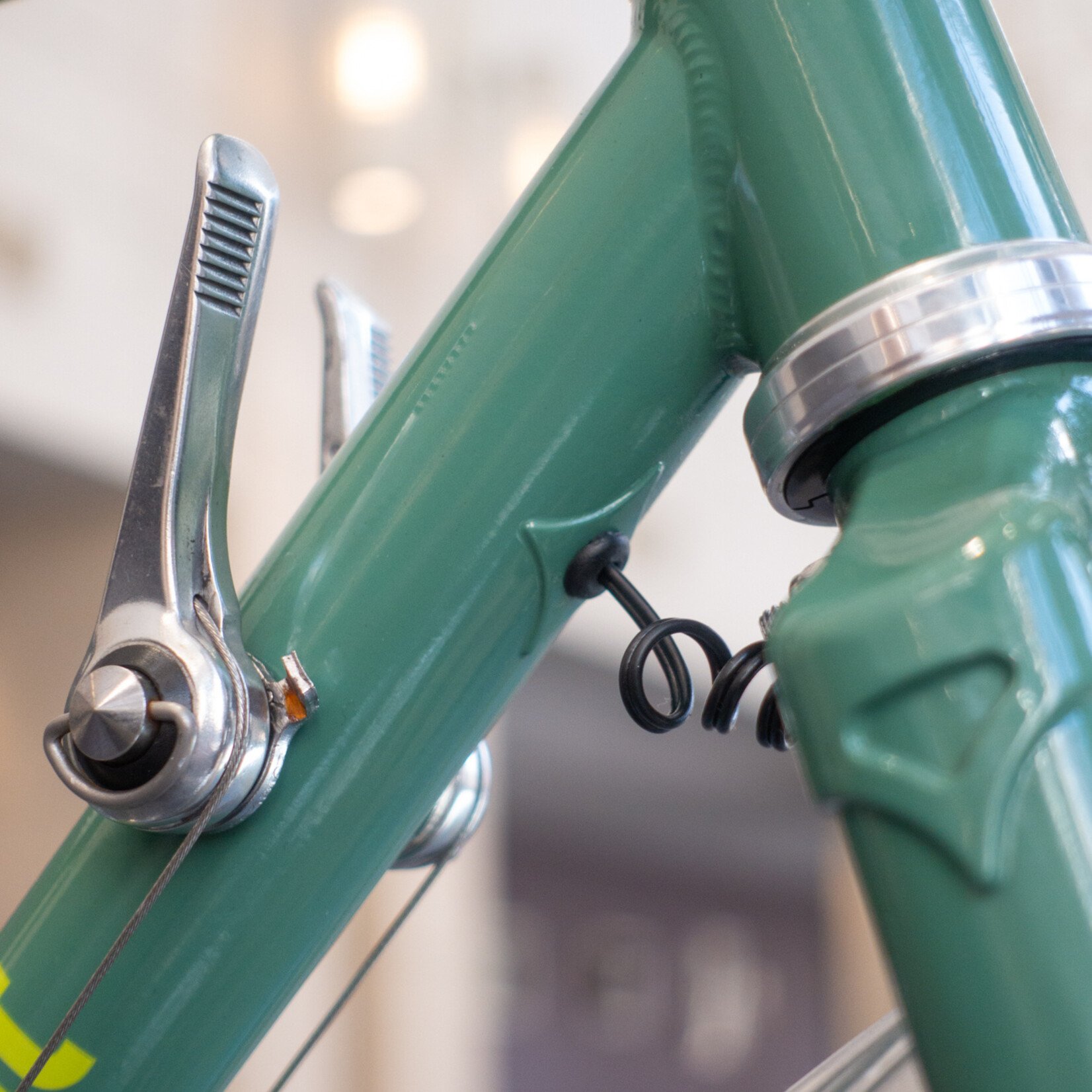 Bassi Belmont EXPO Bike Sage 53.5