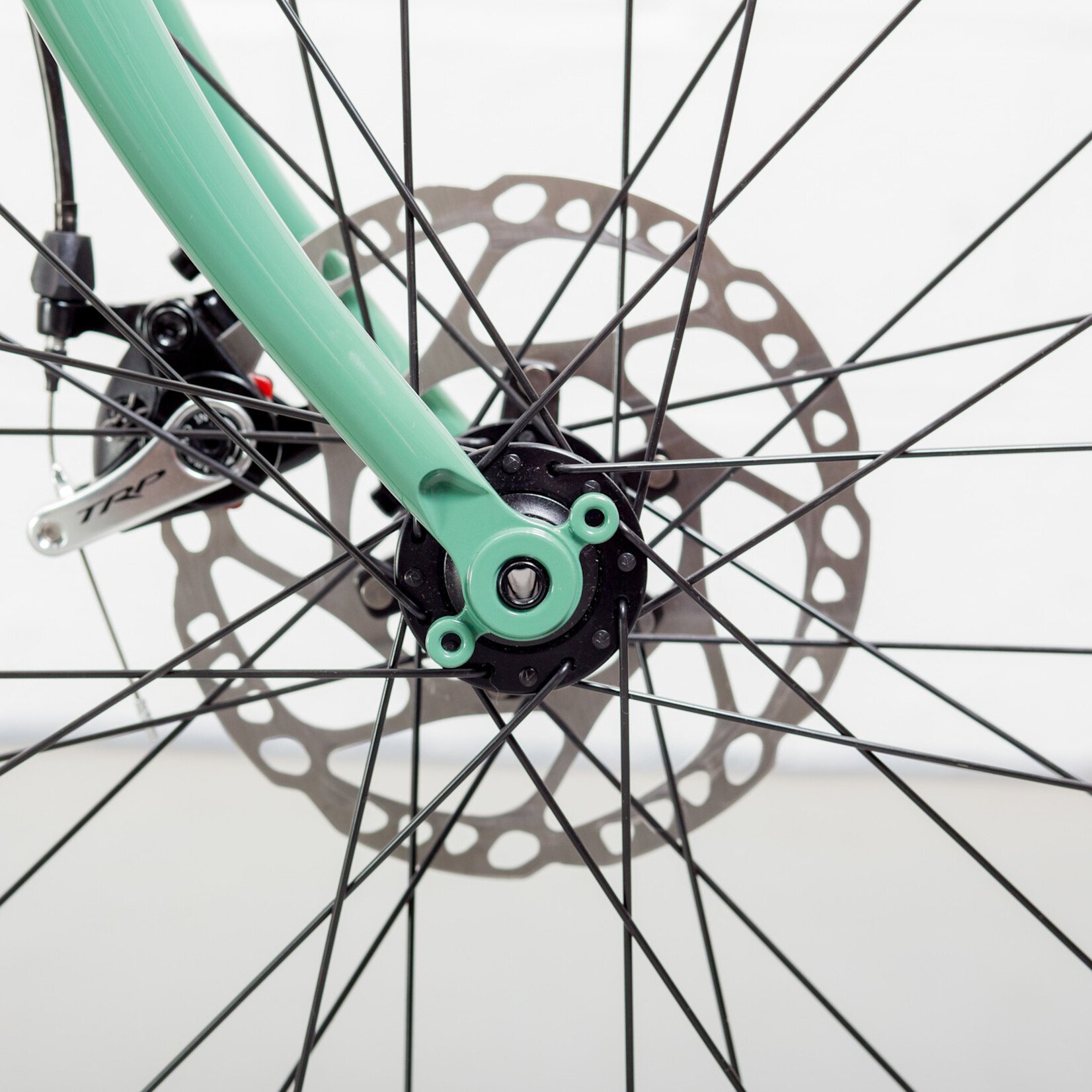 Bassi x Keystone Bassi x Keystone Belmont Complete