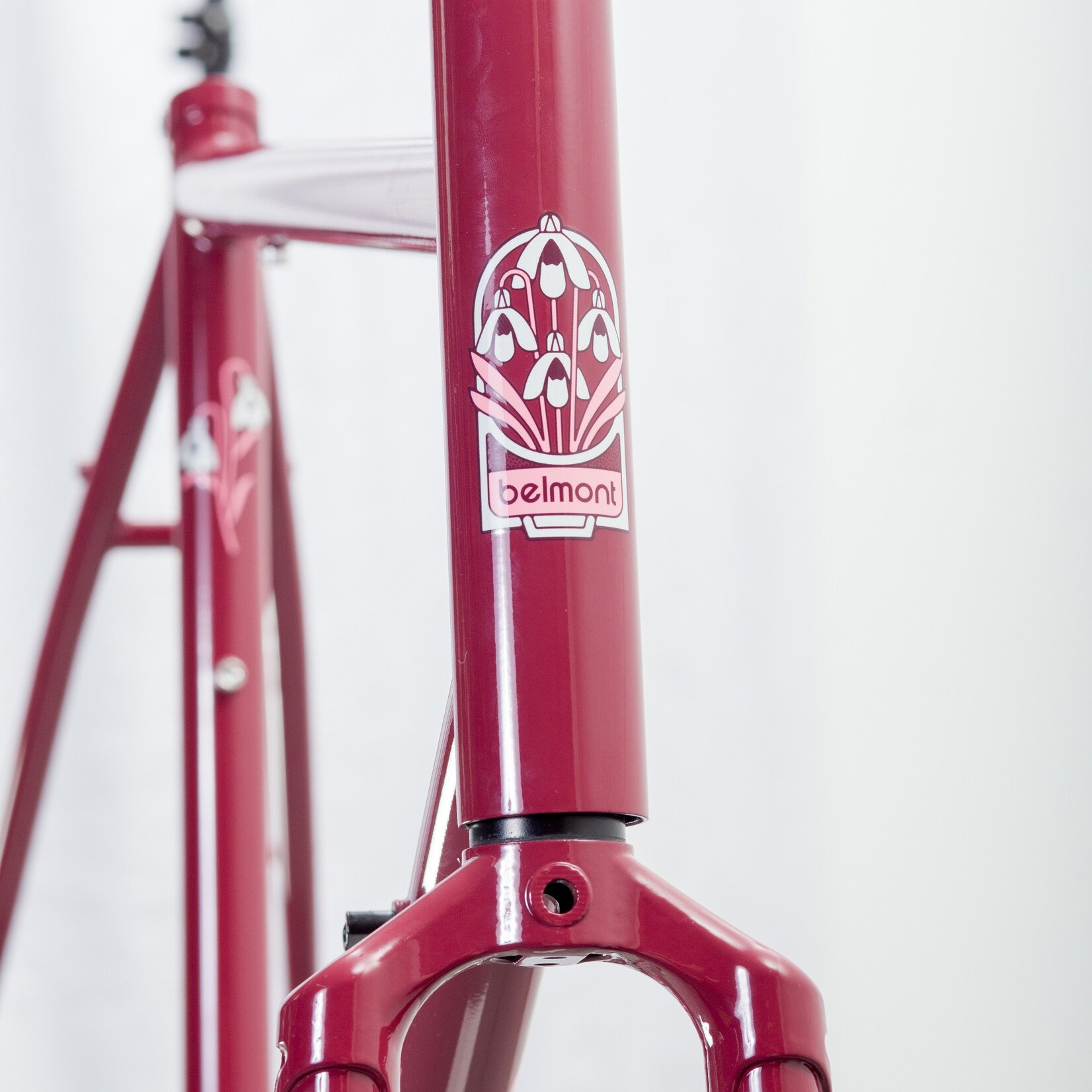 Bassi Bassi x Keystone Belmont Frameset