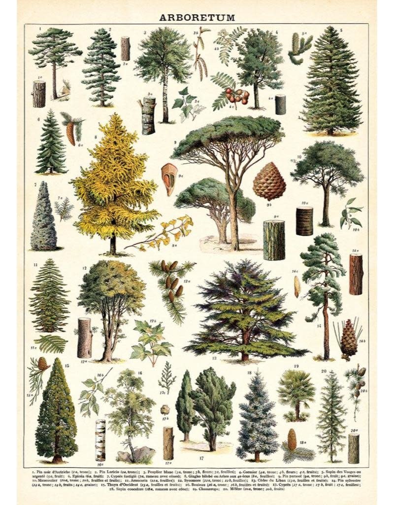 Cavallini Vintage Poster Kit Arboretum